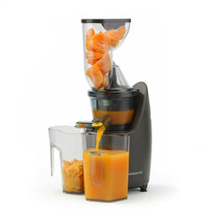 Regalia Full Fruit Cold Press Slow Juicer & Ice Cream Maker| 55 RPM Slow Juicer Retains Higher Nutrients | 240W powerful DC motor | Easy to Clean | 5-Year Motor Warranty
