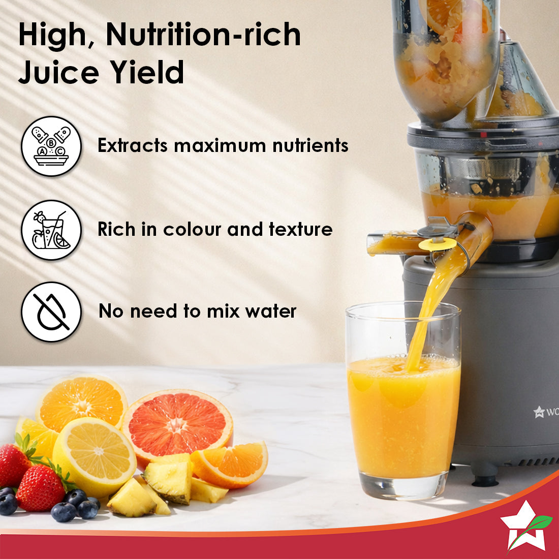 Regalia Full Fruit Cold Press Slow Juicer & Ice Cream Maker| 55 RPM Slow Juicer Retains Higher Nutrients | 240W powerful DC motor | Easy to Clean | 5-Year Motor Warranty