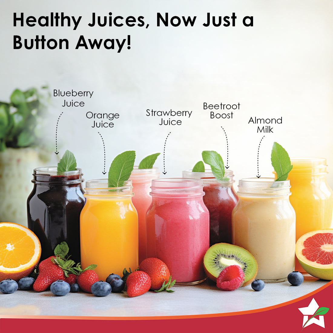 Regalia Full Fruit Cold Press Slow Juicer & Ice Cream Maker| 55 RPM Slow Juicer Retains Higher Nutrients | 240W powerful DC motor | Easy to Clean | 5-Year Motor Warranty